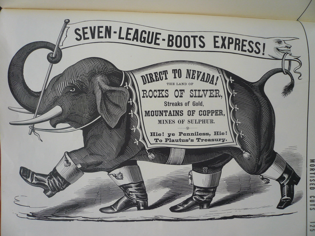 TENDERのアイコン『PLAUTUS FACE』